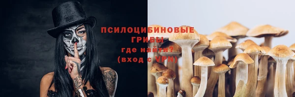 ALPHA PVP Белокуриха