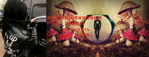 стафф Беломорск